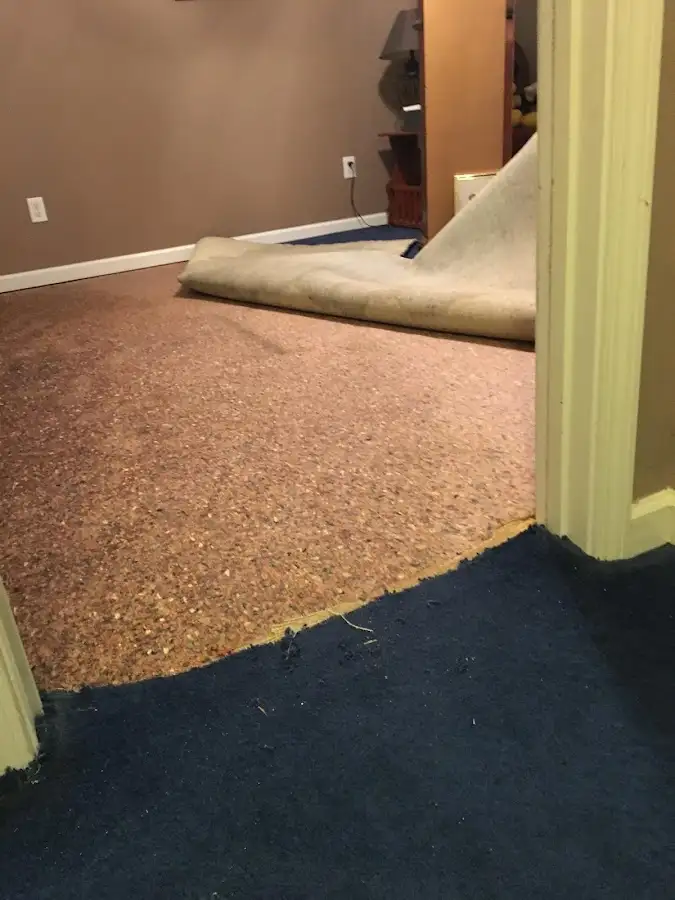 Carpet pad removal revealing water damage during Drying & Dehumidification in Miami Gardens